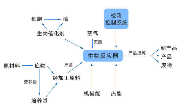 一般生物技術生產(chǎn)過程示意圖 一般生物技術生產(chǎn)過程示意圖