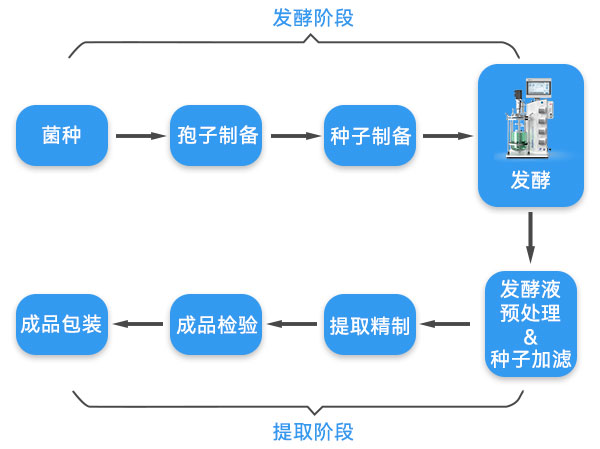 抗生素生產(chǎn)流程示意圖 抗生素生產(chǎn)流程示意圖